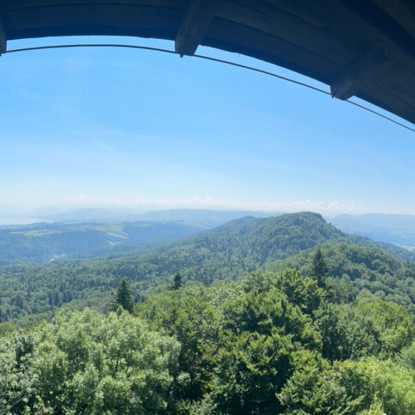 Sommerausflüge